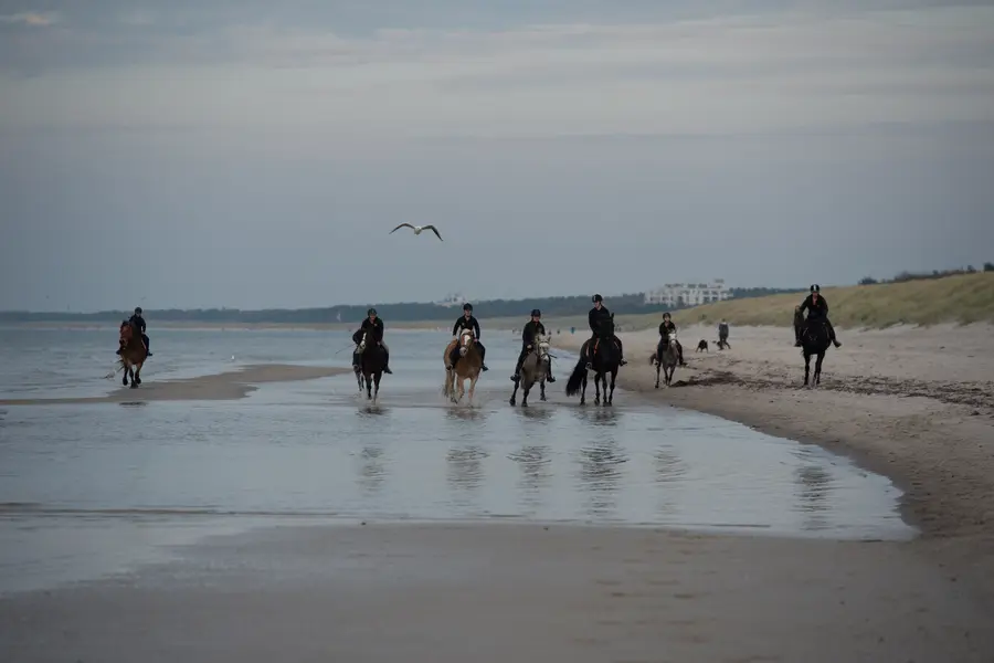 Reiten am Meer