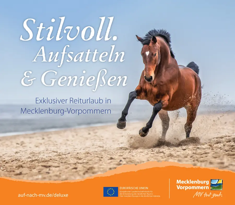 Besondere Reitangebote finden Gäste in der neuen Broschüre „Stilvoll. Aufsatteln und Genießen“.