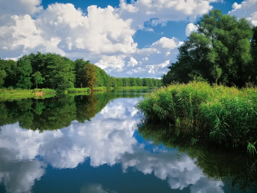 Das Flusstal der Peene, das sich vom Kummerower See bis zum Peenstrom erstreckt gehört mit einer Fläche von 20.000 Hektar zu einem der größten zusammenhängenden Niedermoorgebiete Mittel- und Westeuropas.