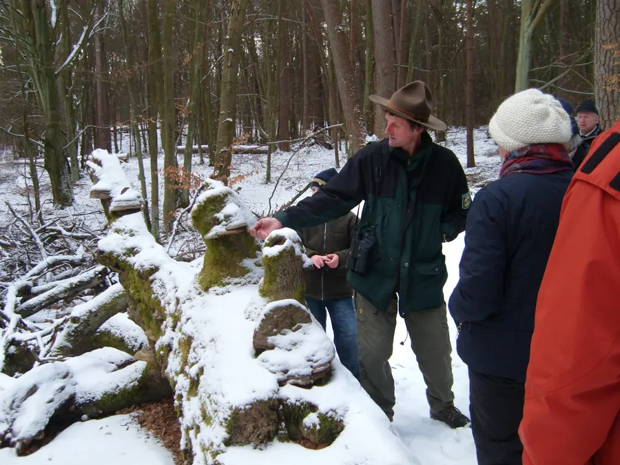 Winterwanderung im Müritz-Nationalpark