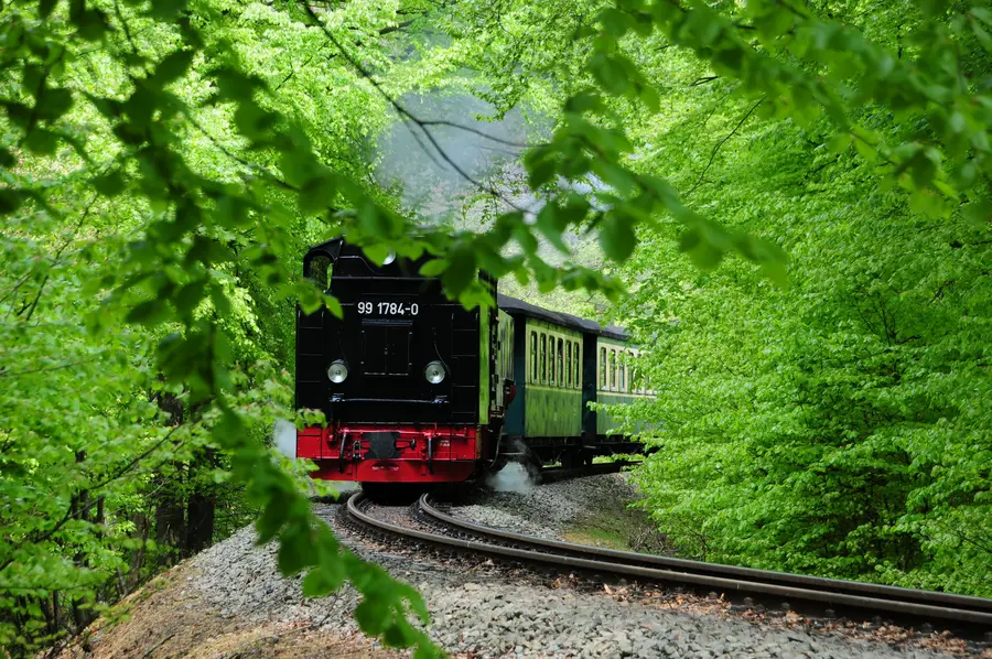 In Szene gesetzt: der Rasende Roland
