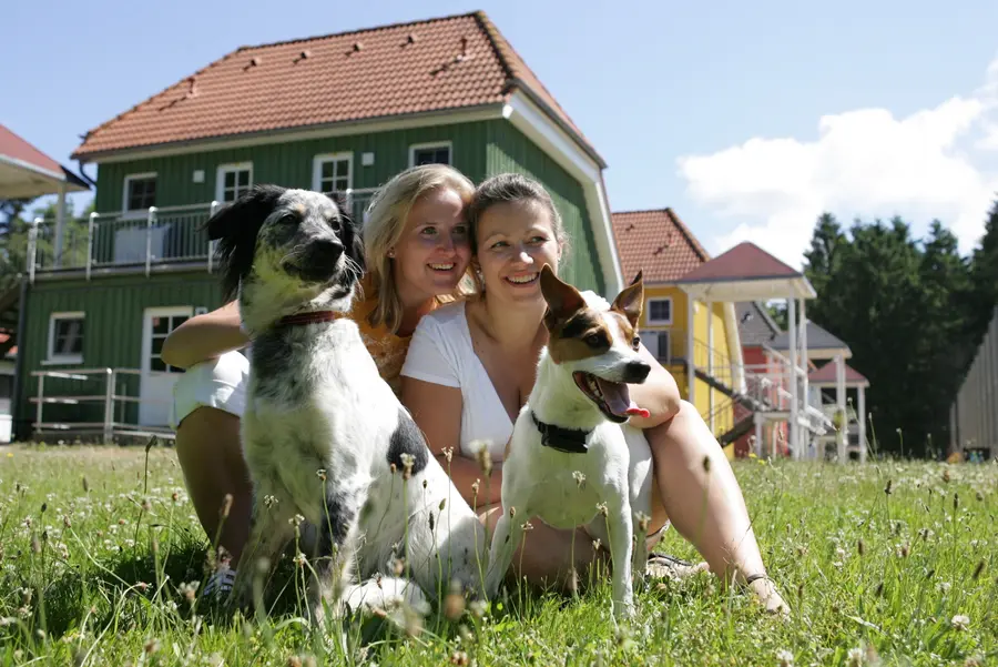 Urlaub mit Hund in sechs Jugendherbergen in MV