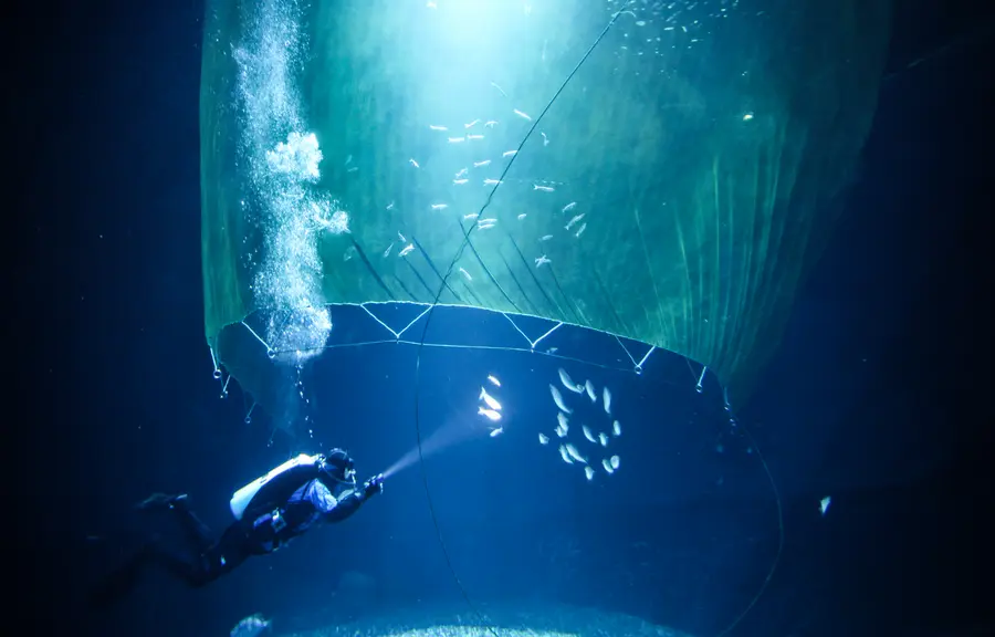 Kompassquallen und viele andere faszinierende Meerestiere können Besucher während der Happy Hour im Ozeaneum.Foto: Lukasz Krzyzkowiak