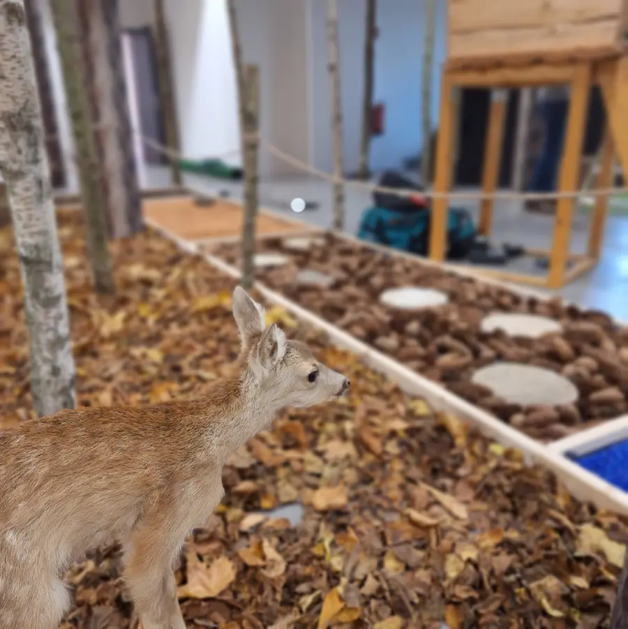 Viele Mitmachelemente laden besonders die jüngsten Gäste ein, den Wald in einer Ausstellung in der Kulturmühle Parchim zu entdecken.