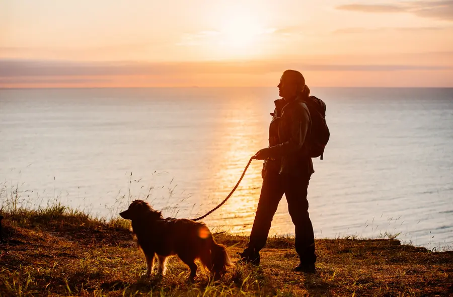 Spaziergänge entlang der Ostseeküste stehen auch beim Rügener Aktivherbst 2019 auf dem Programm. Spaziergänge entlang der Ostseeküste stehen auch beim Rügener Aktivherbst 2019 auf dem Programm.