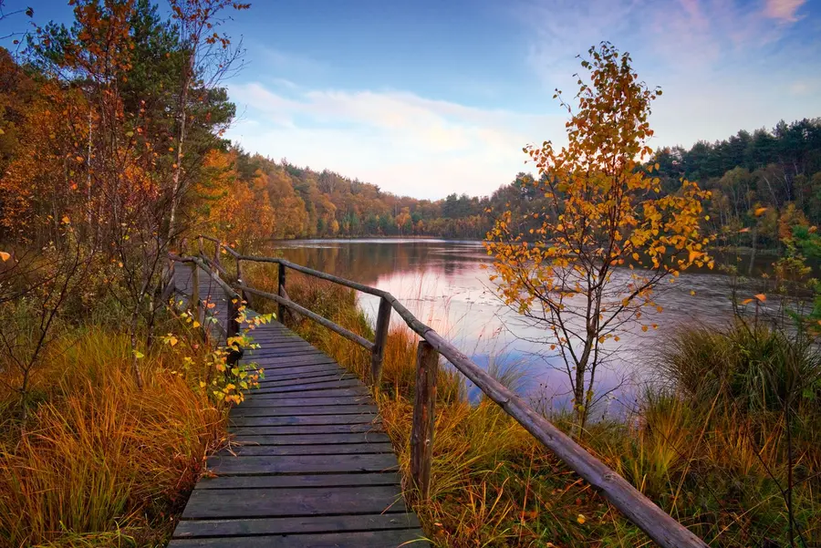 Holzbohlenweg im Müritz-Nationalpark