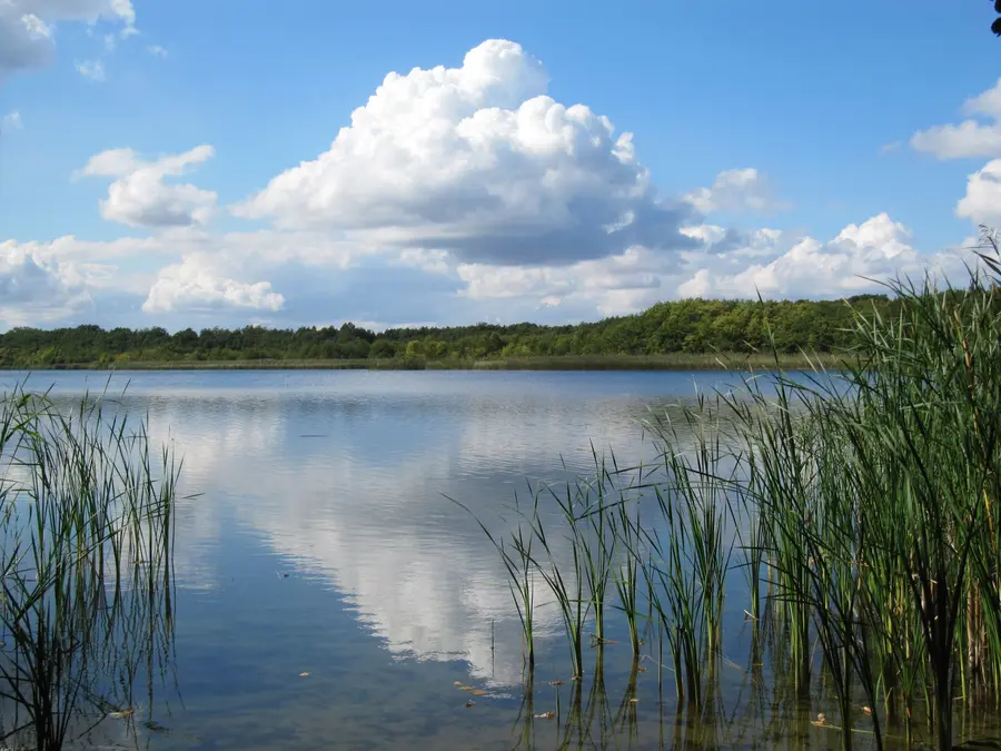Blick auf den Schweriner See