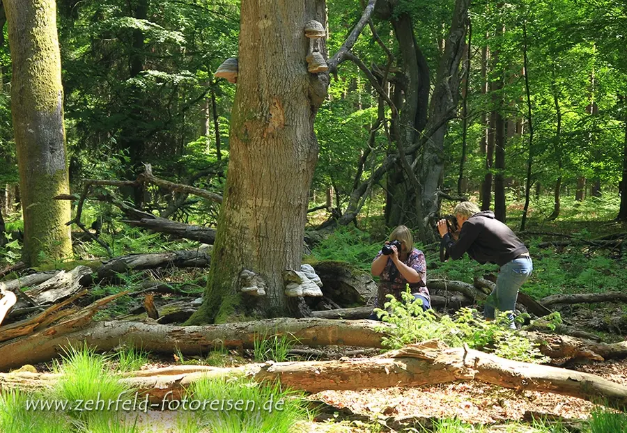 Jugendherbergen in MV bieten Foto-Workshops an.