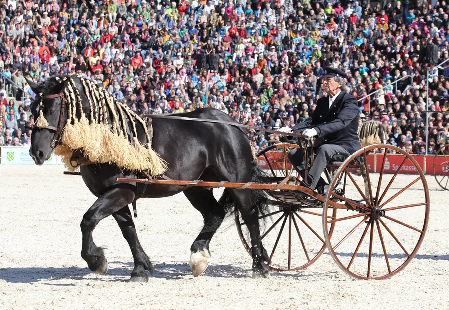 Traberwagen in Redefin