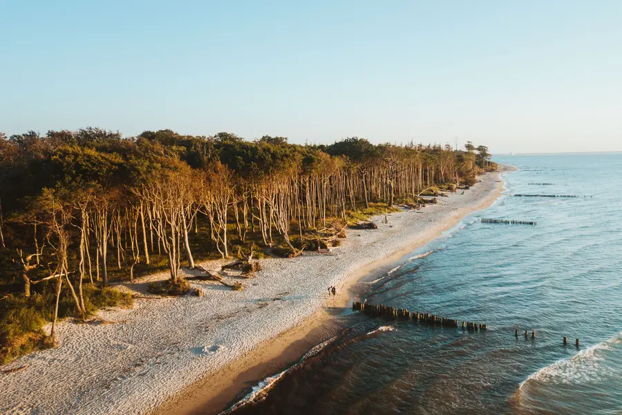 Luftaufnahme des Küstenwaldes bei Graal-Müritz Luftaufnahme des Küstenwaldes bei Graal-Müritz