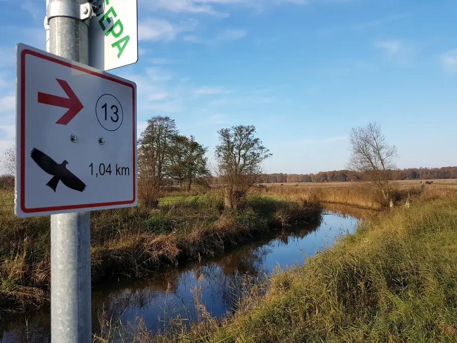Auf neuen Wanderwegen durch die Wiesenlandschaft Lewitz